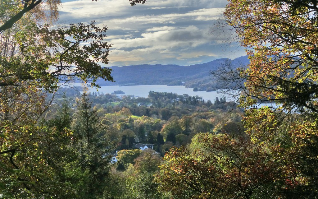 Windermere from Orrest Head  by susiemc