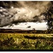 Storm clouds brewing  by stuart46