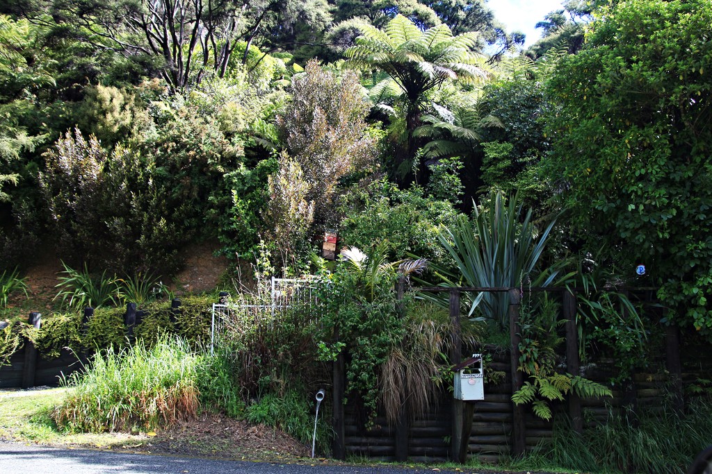 Gateway to a patch of paradise by kiwinanna