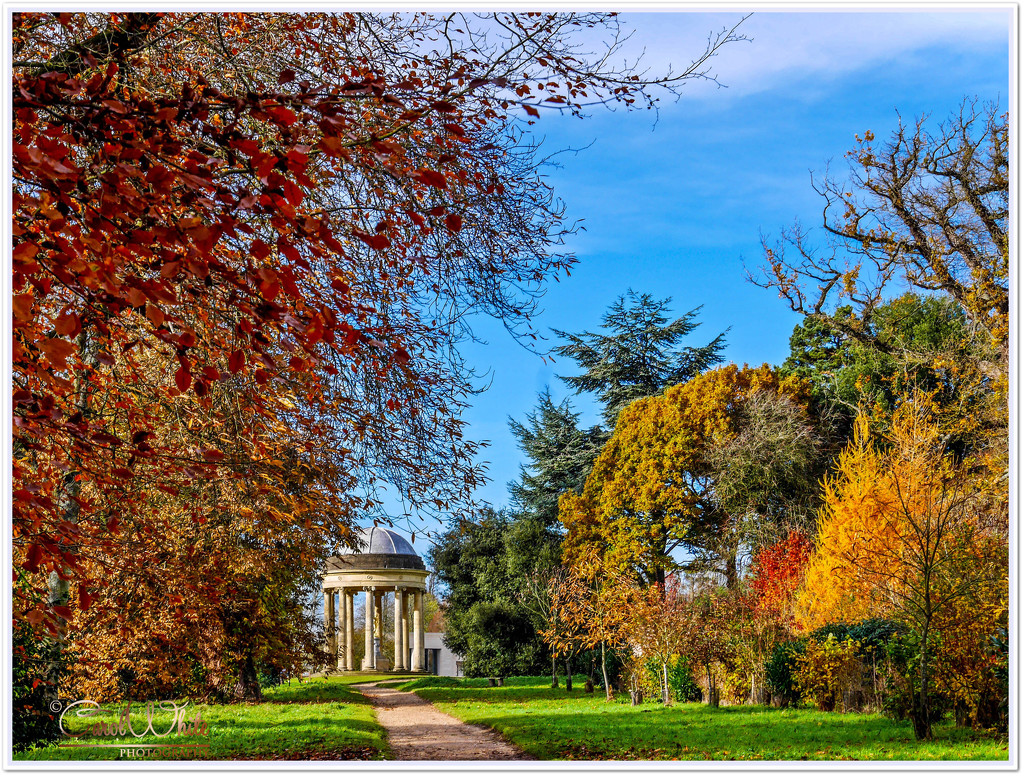 Path To The Rotunda,Stowe Gardens by carolmw