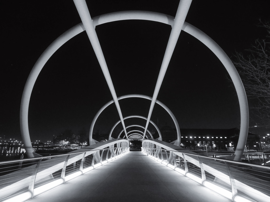 Navy Yard Bridge at Night by rosiekerr