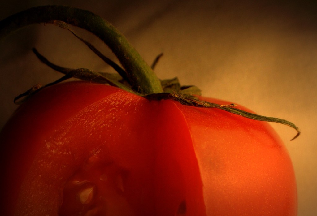 Day 79:  Tomato by sheilalorson