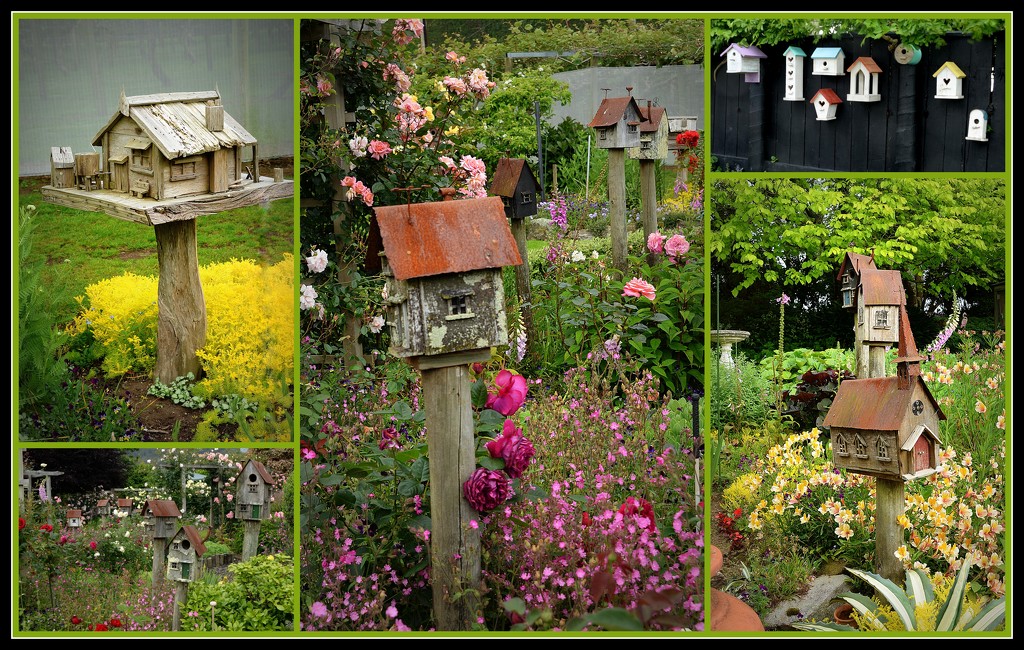 Bird boxes of the Tauranga Garden and Arts Festival... by julzmaioro