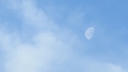 19th Nov 2016 - Moon and clouds
