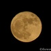 My "Super Moon" shot by thewatersphotos