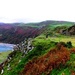 Llyn Peninsula#6 - Nant Gwrtheyrn by ajisaac