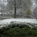 First Snow from the Picture Window by annepann