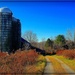 Mosier's Barn 2 by olivetreeann