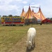 Circus Time by kjarn