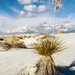 White Sands NM by jeffjones