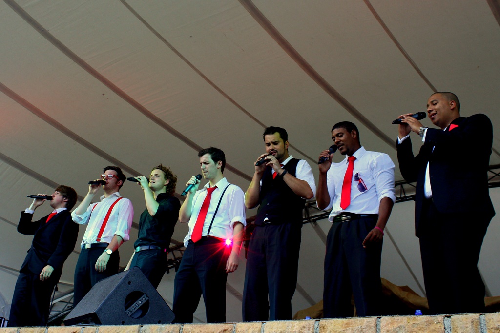 A'capella singers, D7, performing at Kirstenbosch by eleanor