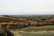 16th Nov 2016 - Gedling Country Park