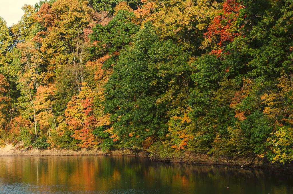 Fall color in Delaware county, Ohio by ggshearron