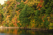15th Oct 2016 - Fall color in Delaware county, Ohio