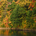 Fall color in Delaware county, Ohio by ggshearron