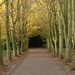 This Weekend at Anglesey Abbey by g3xbm