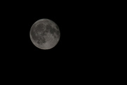 18th Sep 2016 - Moon