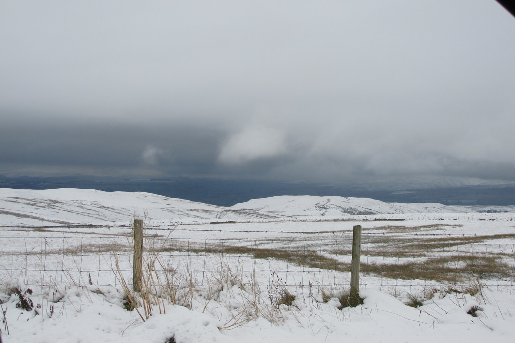snow 'up Shap' by anniesue