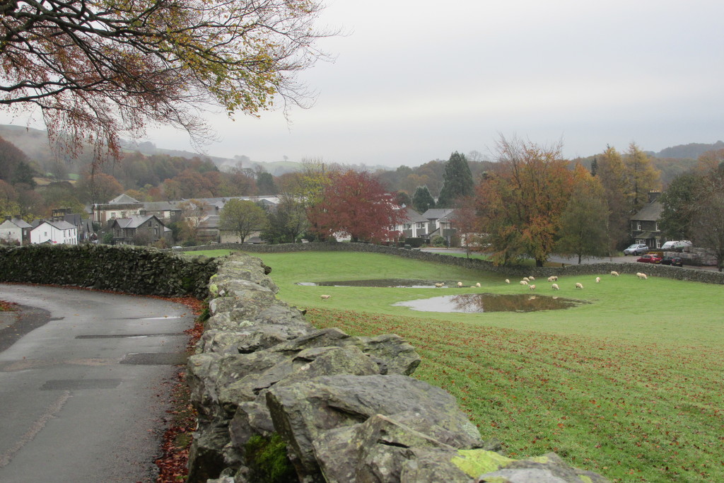 substantial rain overnight by anniesue