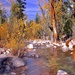 Eagle Creek by joysfocus