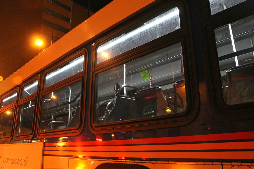 Denver Bus by harbie