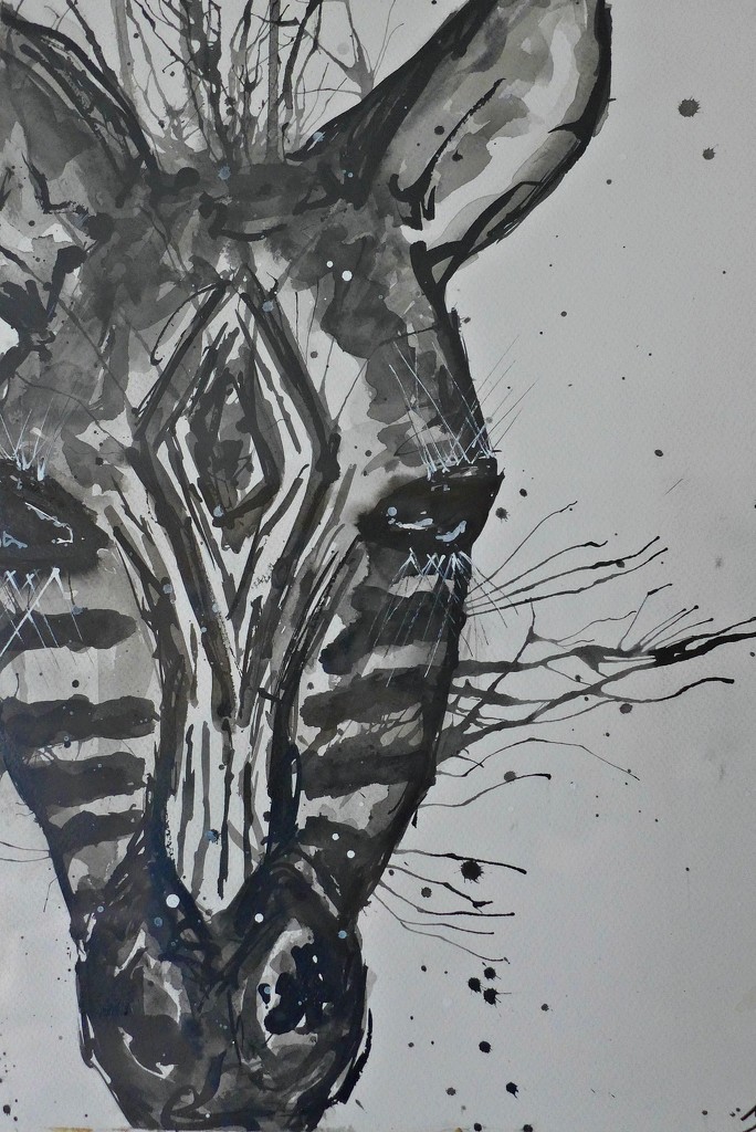 Zebra in watercolour & ink by leggzy
