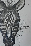 22nd Nov 2016 - Zebra in watercolour & ink