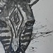 Zebra in watercolour & ink by leggzy