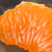 Macro Tangerine by cherrymartina
