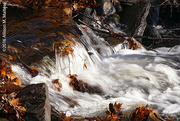 23rd Nov 2016 - Waterfall on the Hammonasset RIver