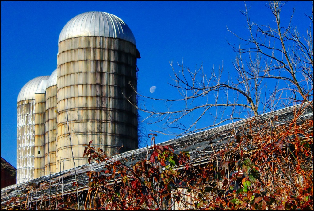 Three Silos and the Moon by olivetreeann