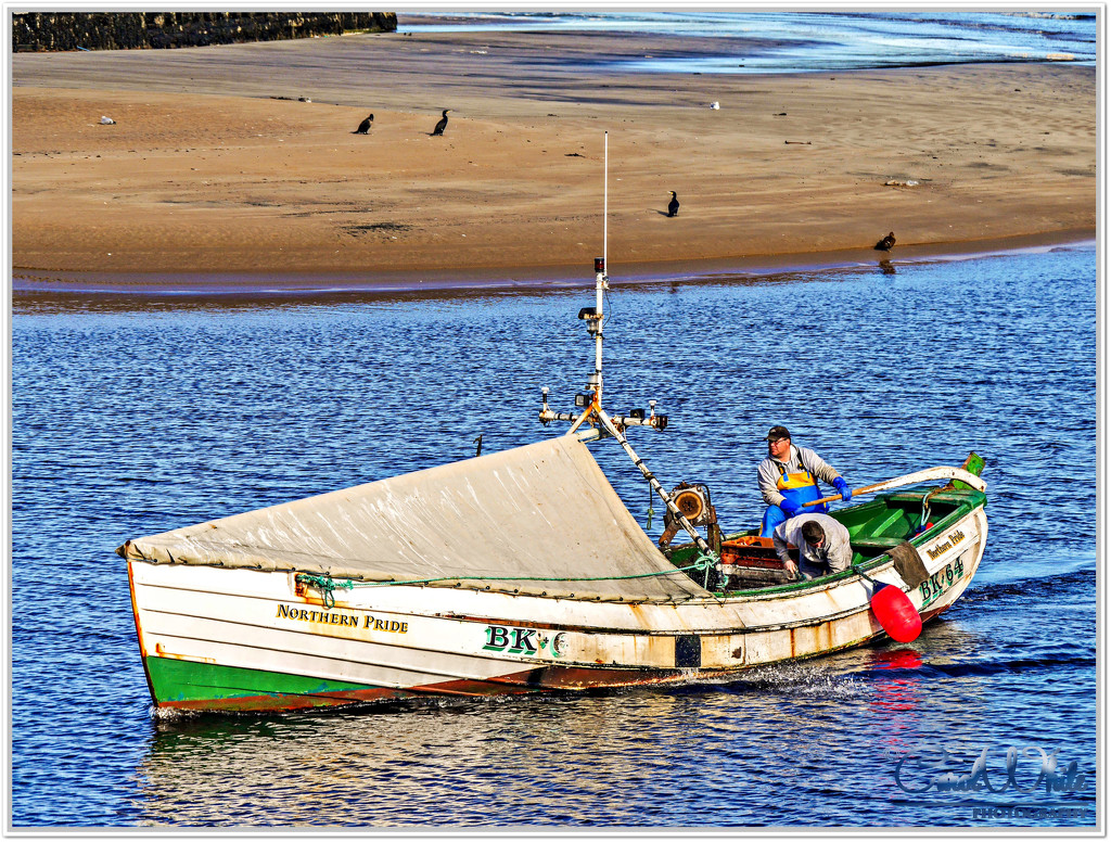 Returning To Harbour by carolmw