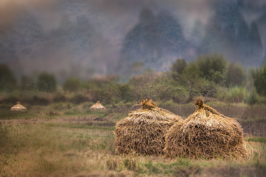 Haystacks in a Yangshuo Field by taffy