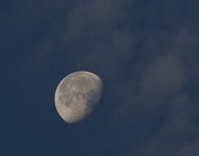 18th Nov 2016 - Moon in Cloud