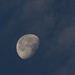 Moon in Cloud by selkie