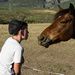 Having a chat, face to face by salza