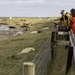 Observing Seals by shepherdmanswife