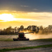 Farm Sunset by jae_at_wits_end