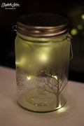 26th Nov 2016 - Light in a jar
