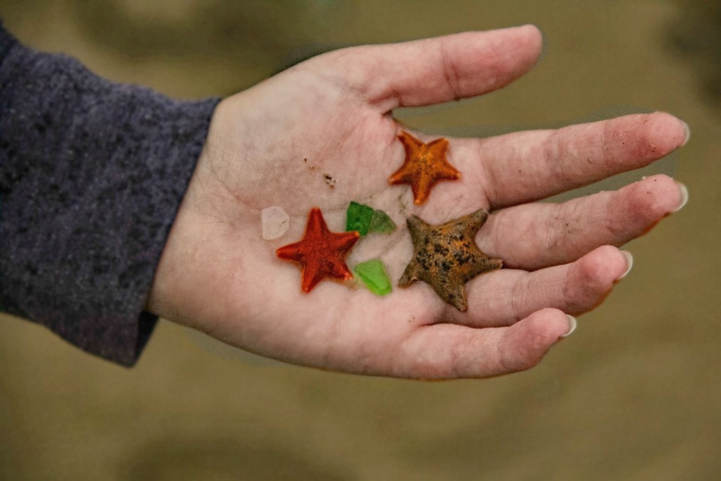 Sea Stars and Sea Glass by jaybutterfield