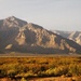 East of Las Cruces, NM by granagringa