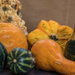 Gourds by randystreat
