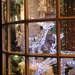 Christmas Window by cookingkaren