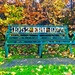 Jubilee bench  by 365projectdrewpdavies