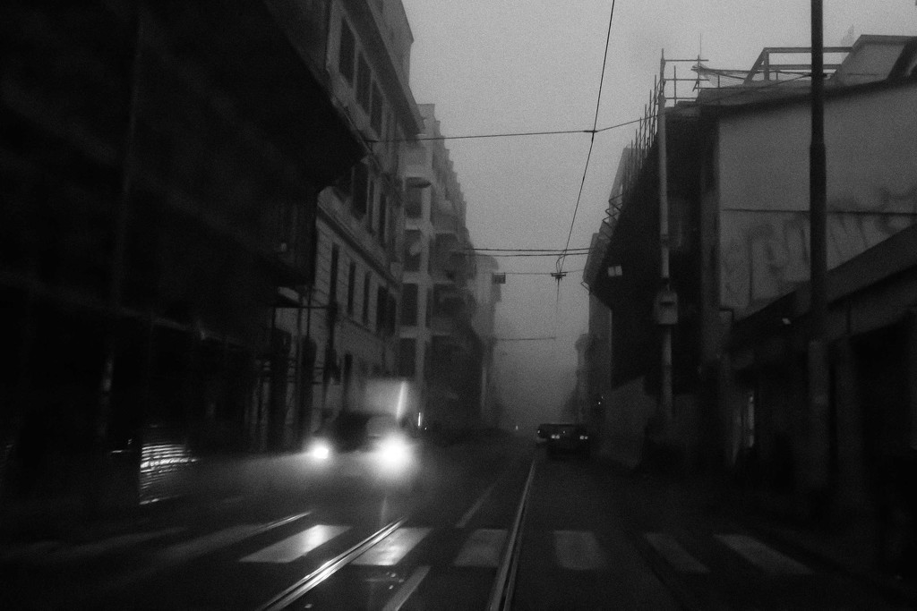 315 Foggy morning by domenicododaro