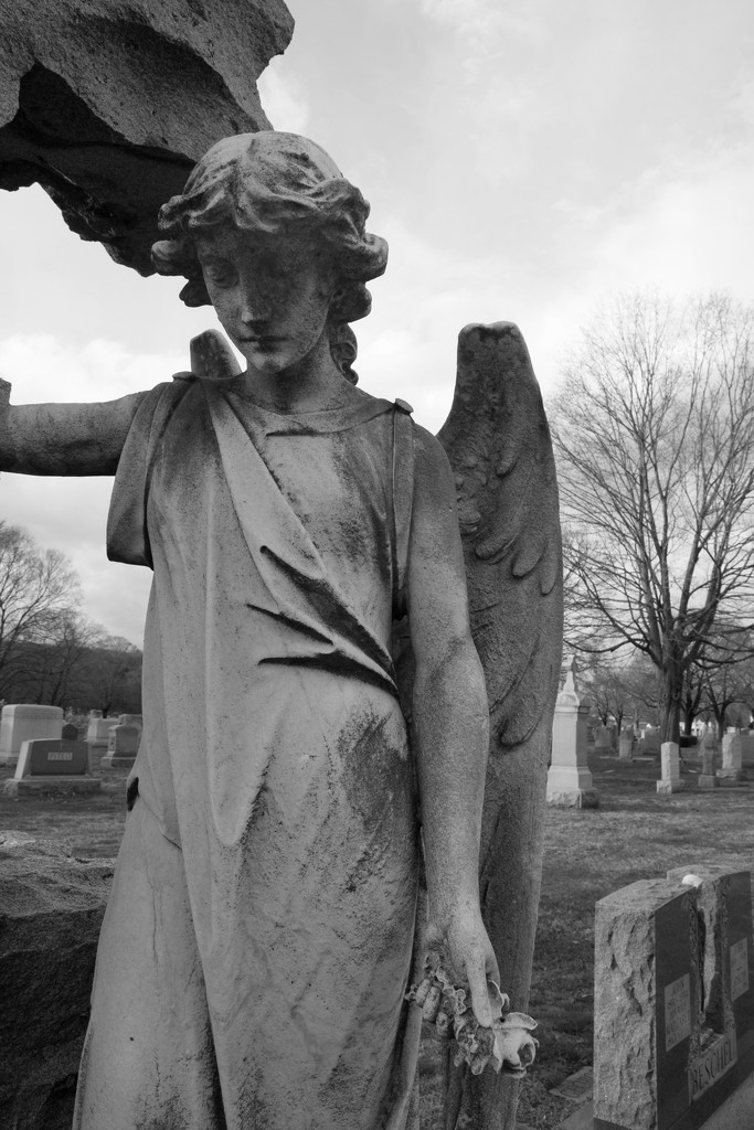 Day 88:  Cemetery Angel by sheilalorson