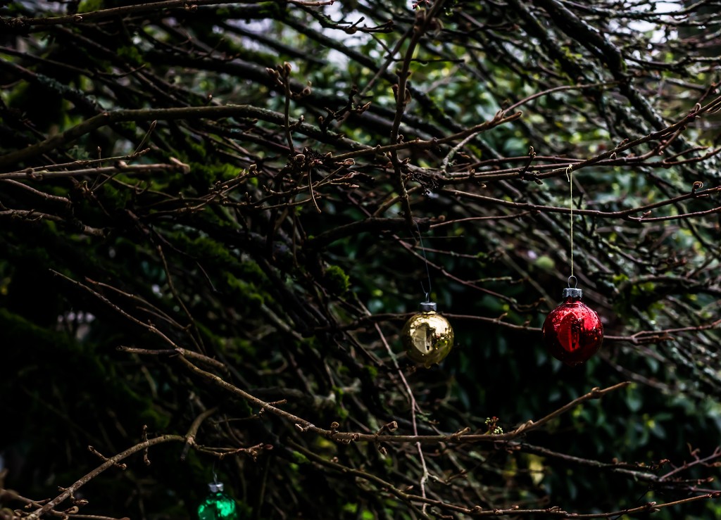 Outdoor ornaments by cristinaledesma33