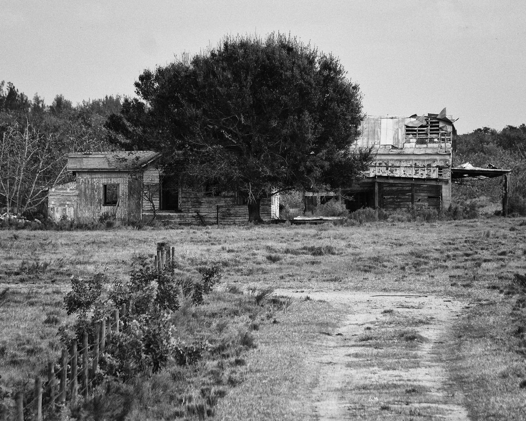 Down a dirt road by eudora