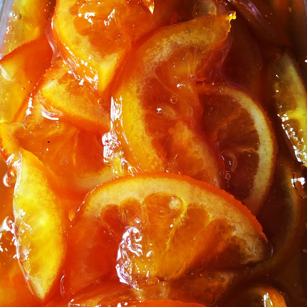 Candied Orange Slices by cookingkaren