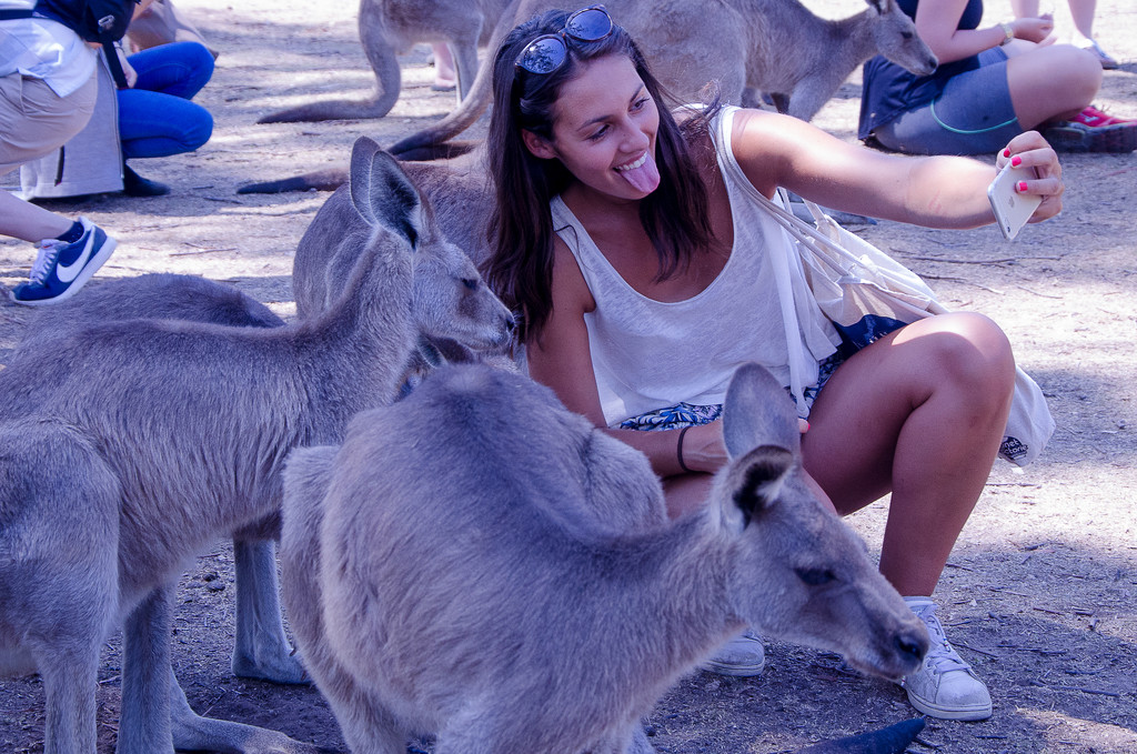 selfie with kangaroo by yaorenliu